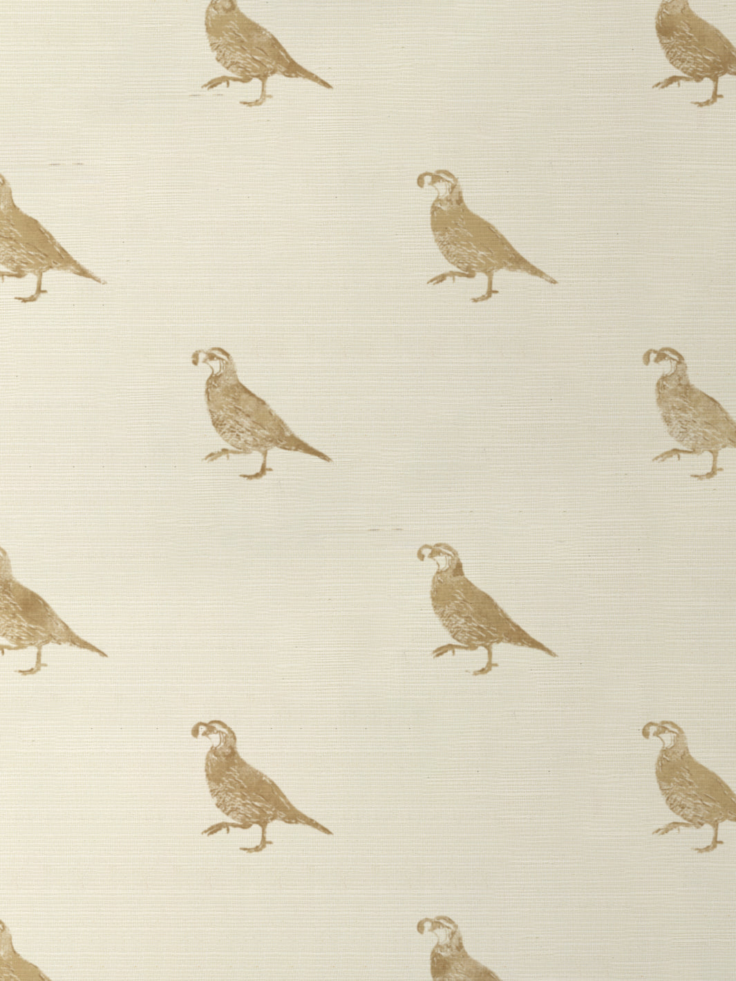 California Quail GC | NT - Gold