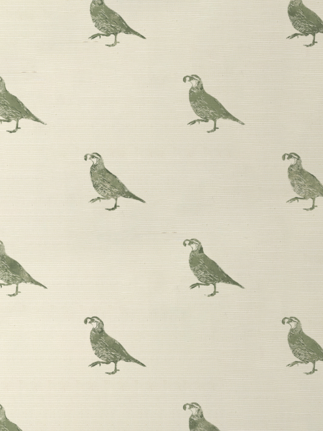 California Quail GC | NT - Green