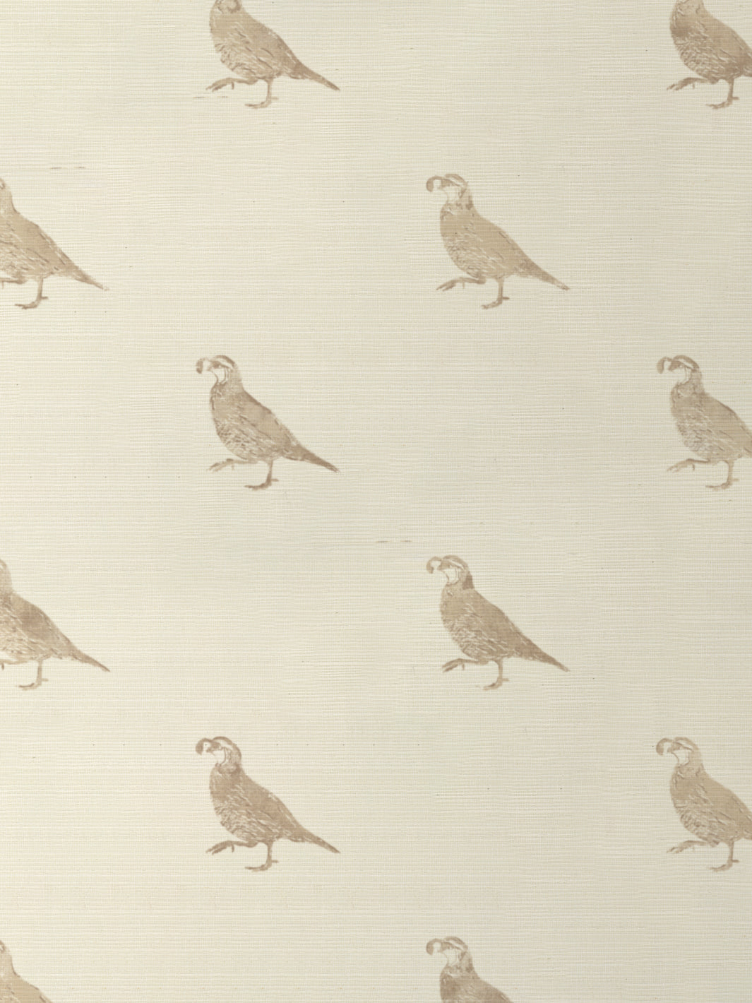 California Quail GC | NT - Neutral