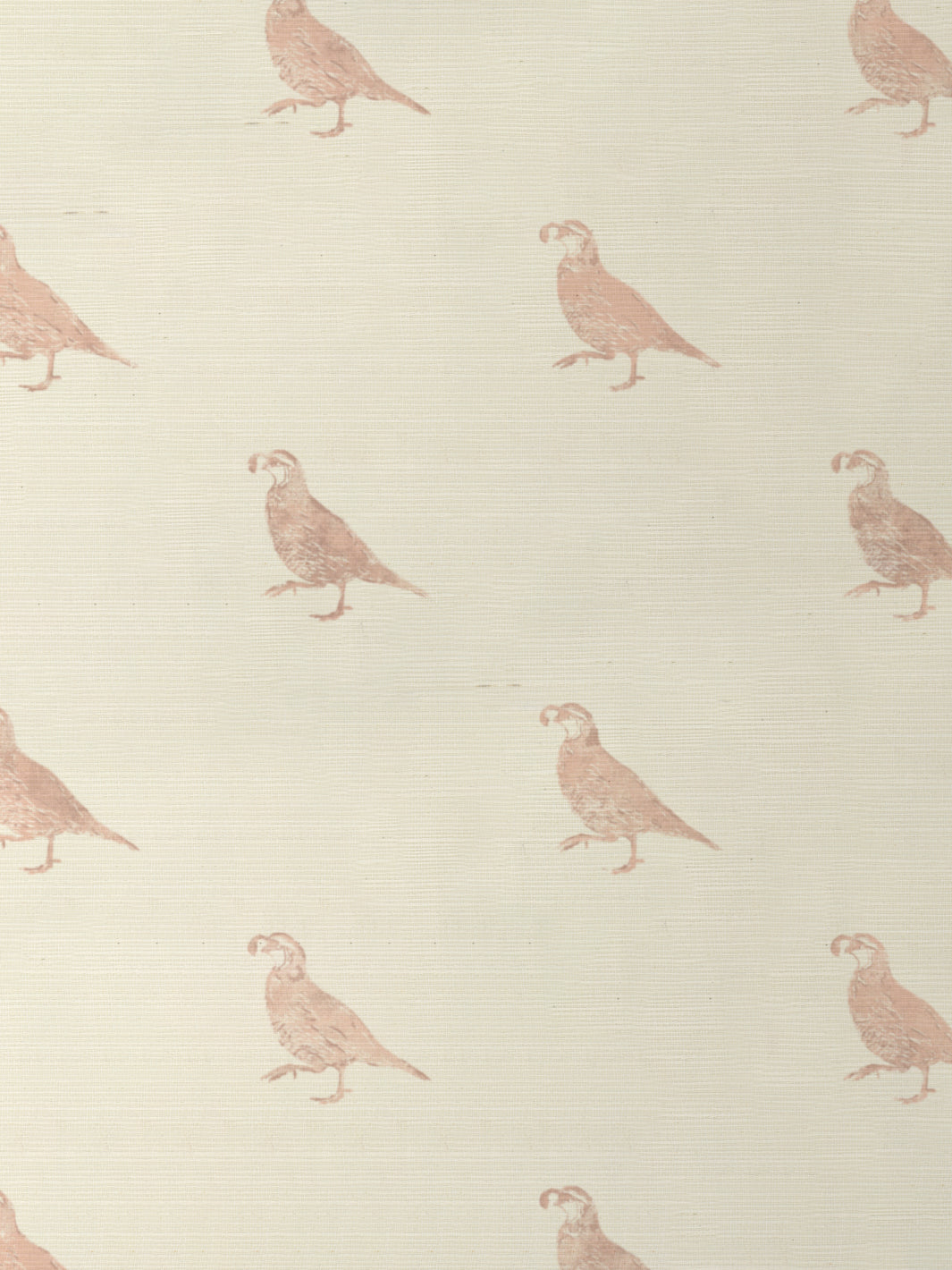 California Quail GC | NT - Pink