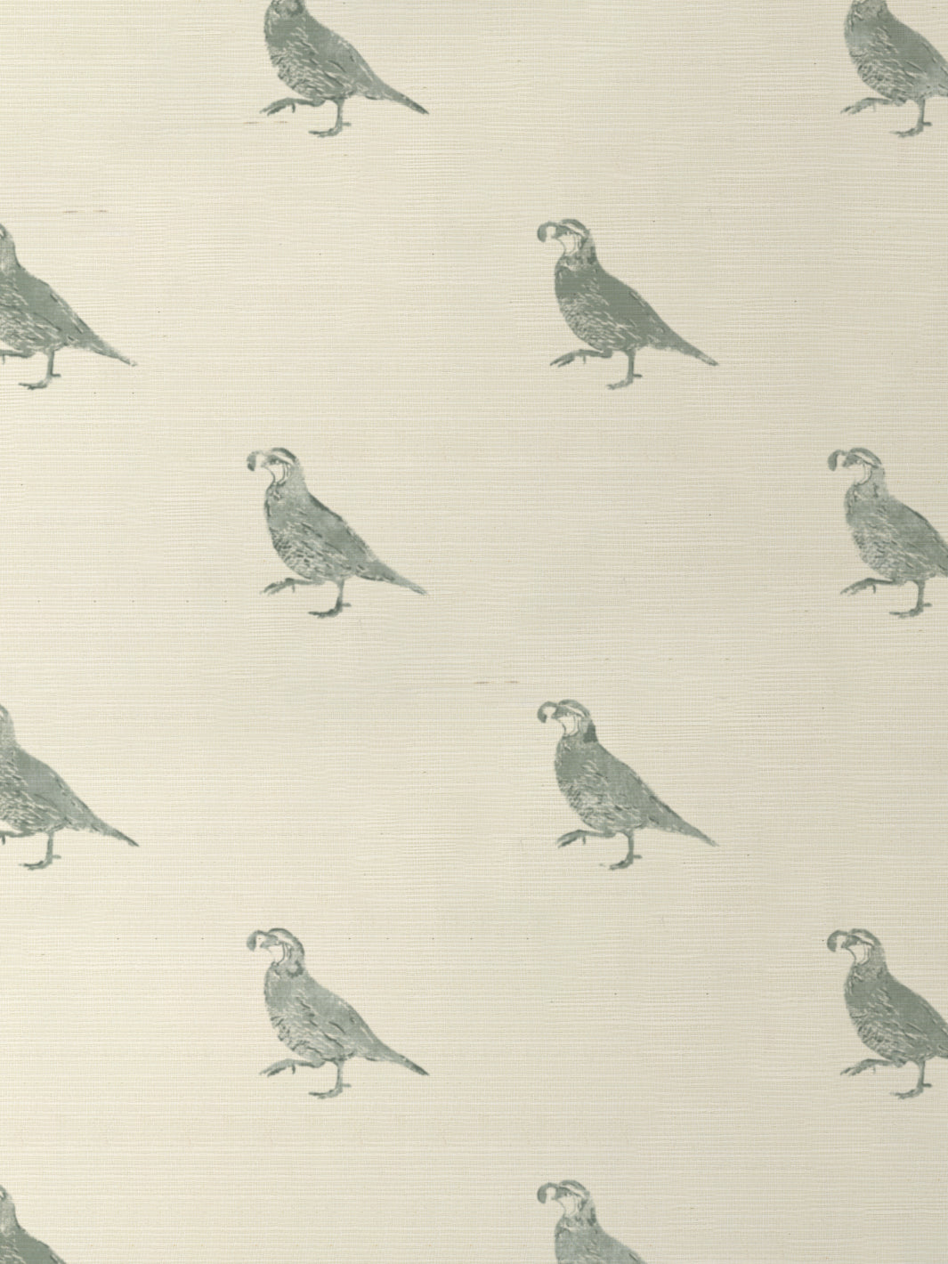 California Quail GC | NT - Sage