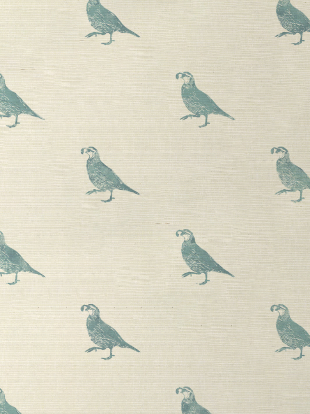 California Quail GC | NT - Seafoam