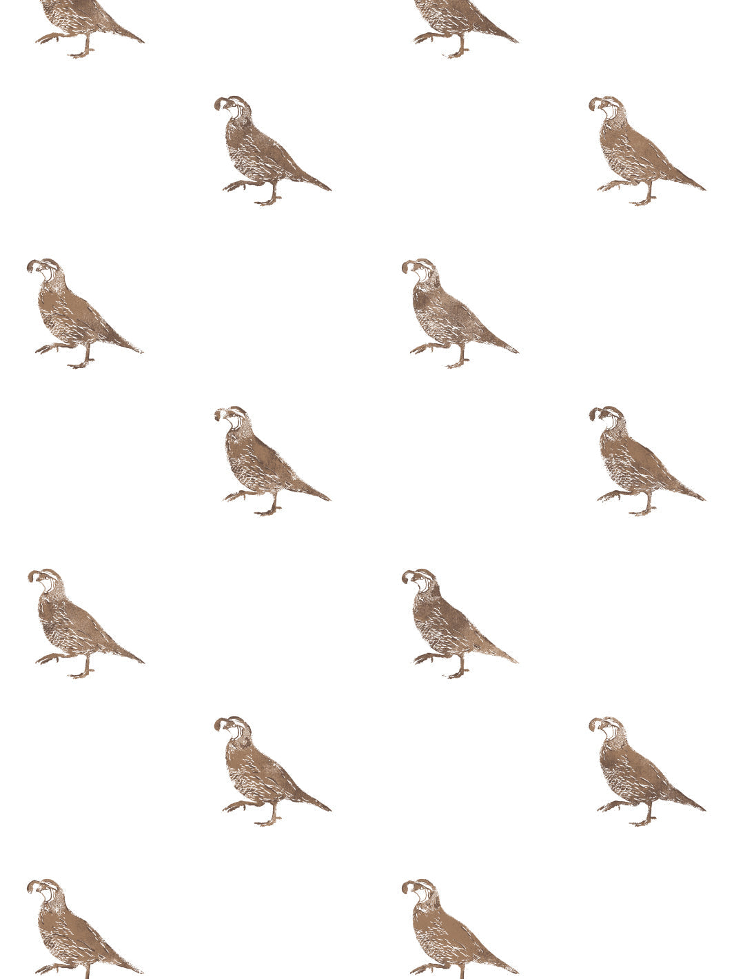 California Quail WP | NT - Brown