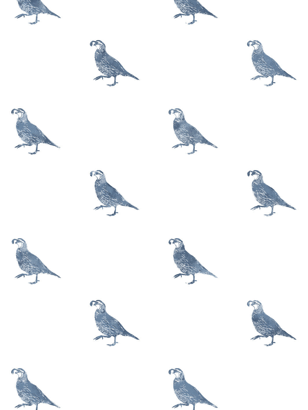 California Quail WP | NT - Darker Blue