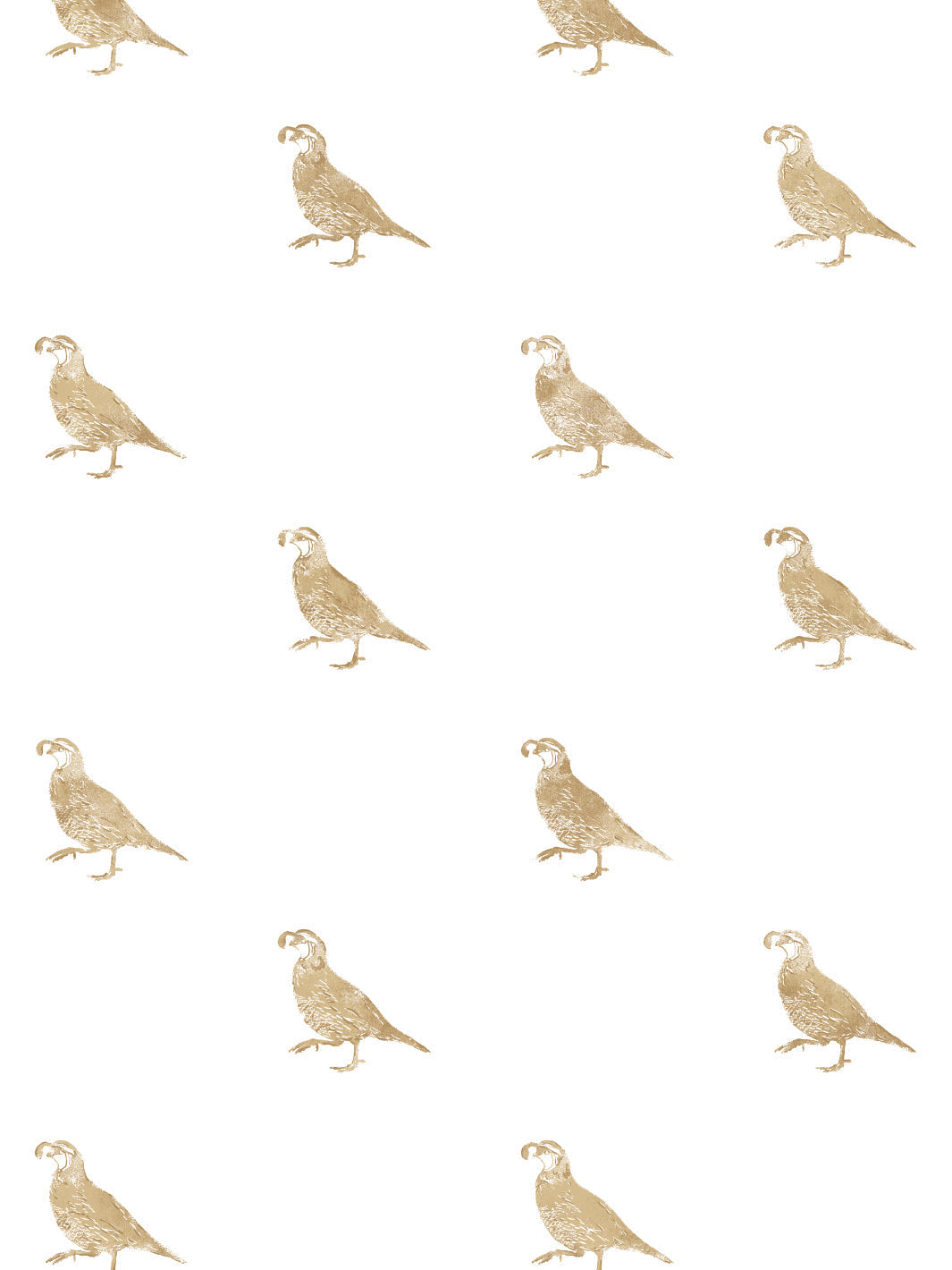 California Quail WP | NT - Gold