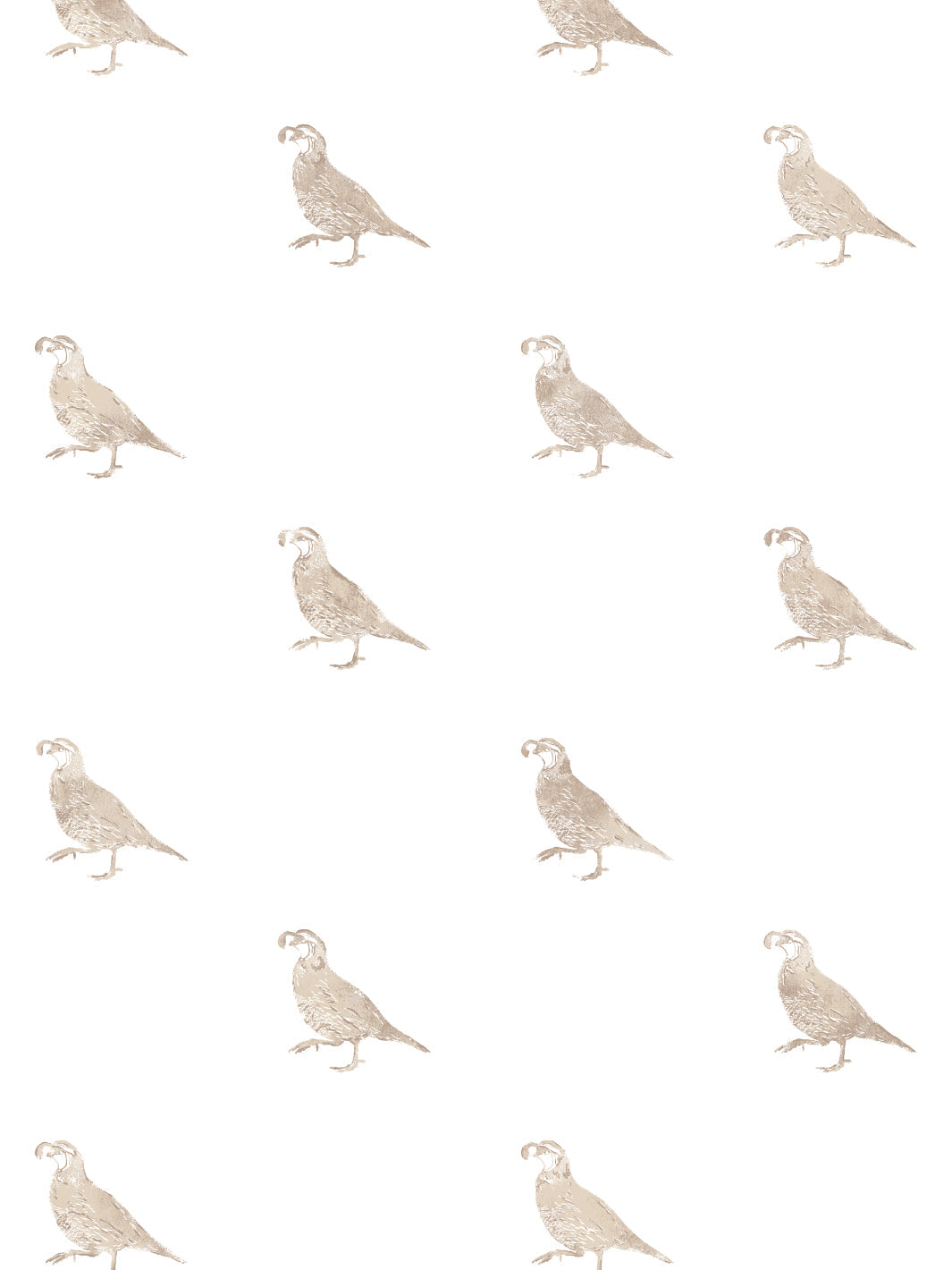 California Quail WP | NT - Neutral