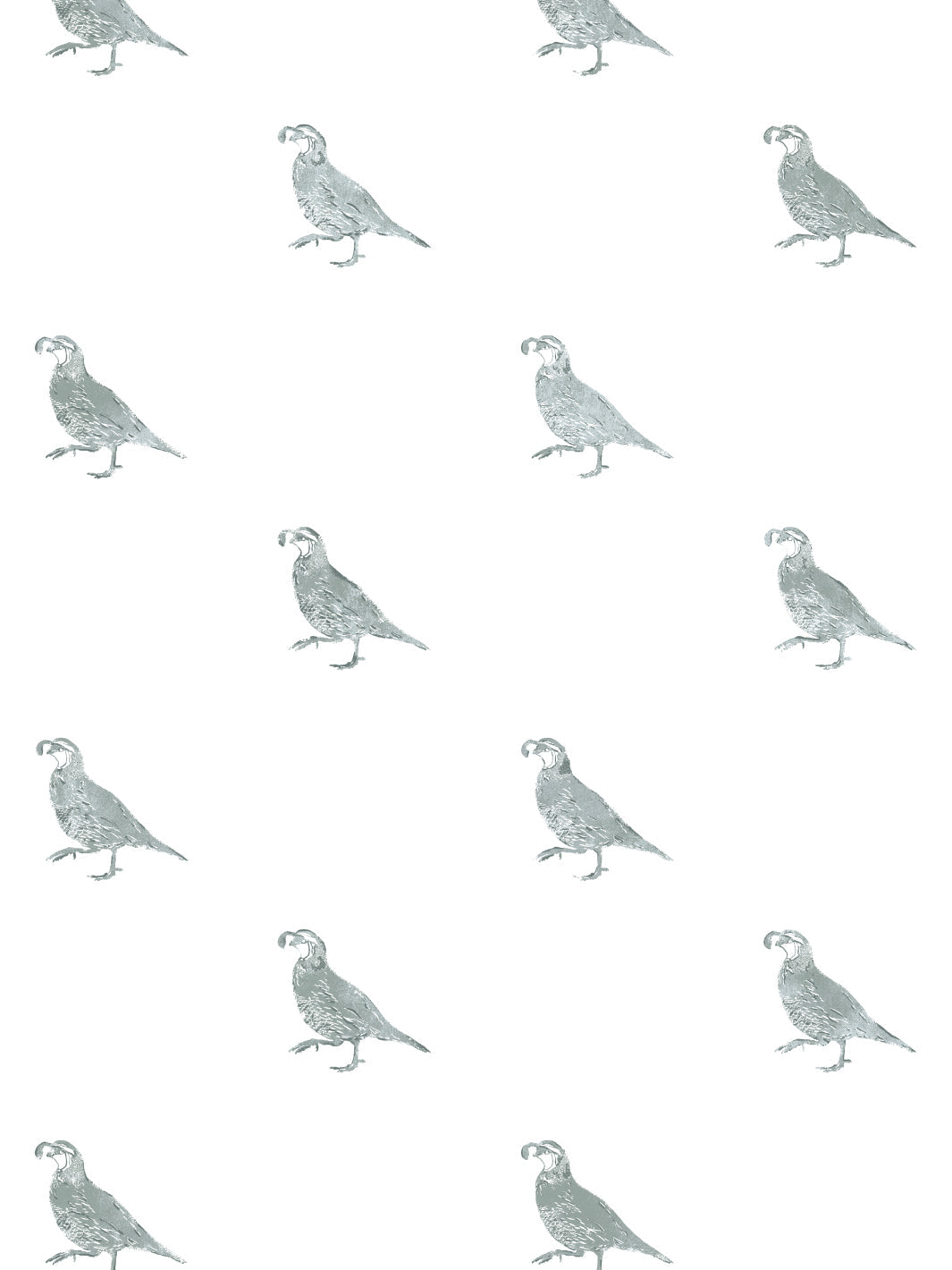 California Quail WP | NT - Sage