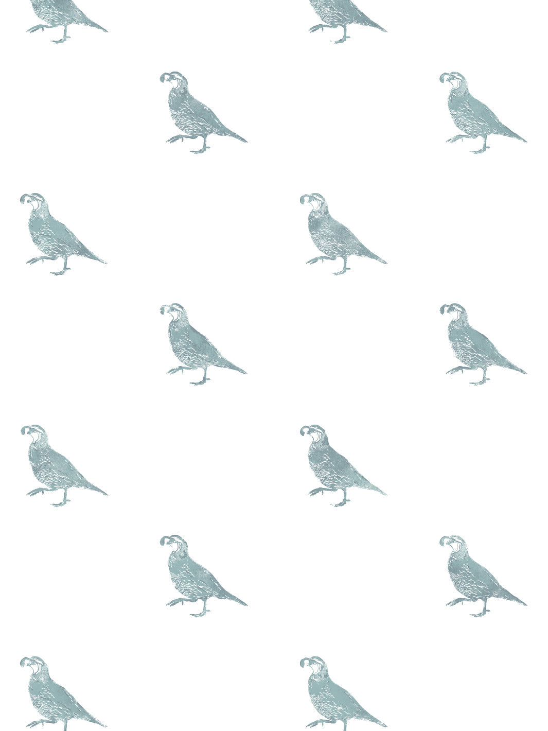 California Quail WP | NT - Seafoam
