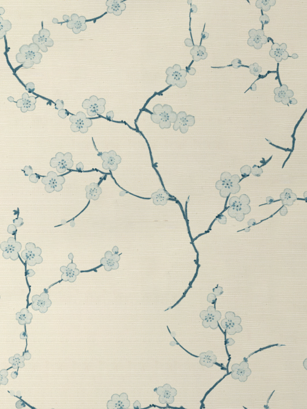 Cherry Blossom GC | NT - Blue