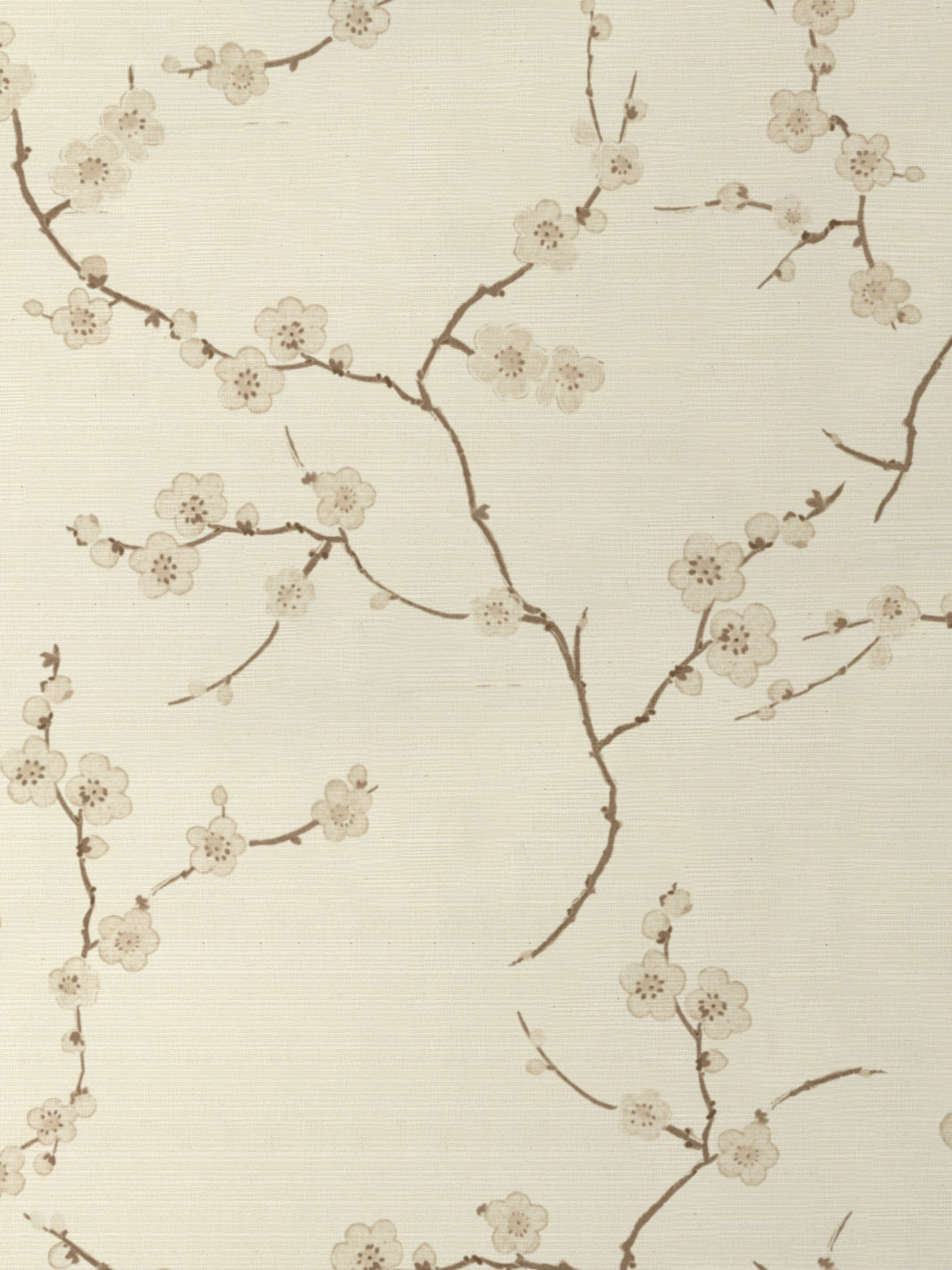Cherry Blossom GC | NT - Neutral