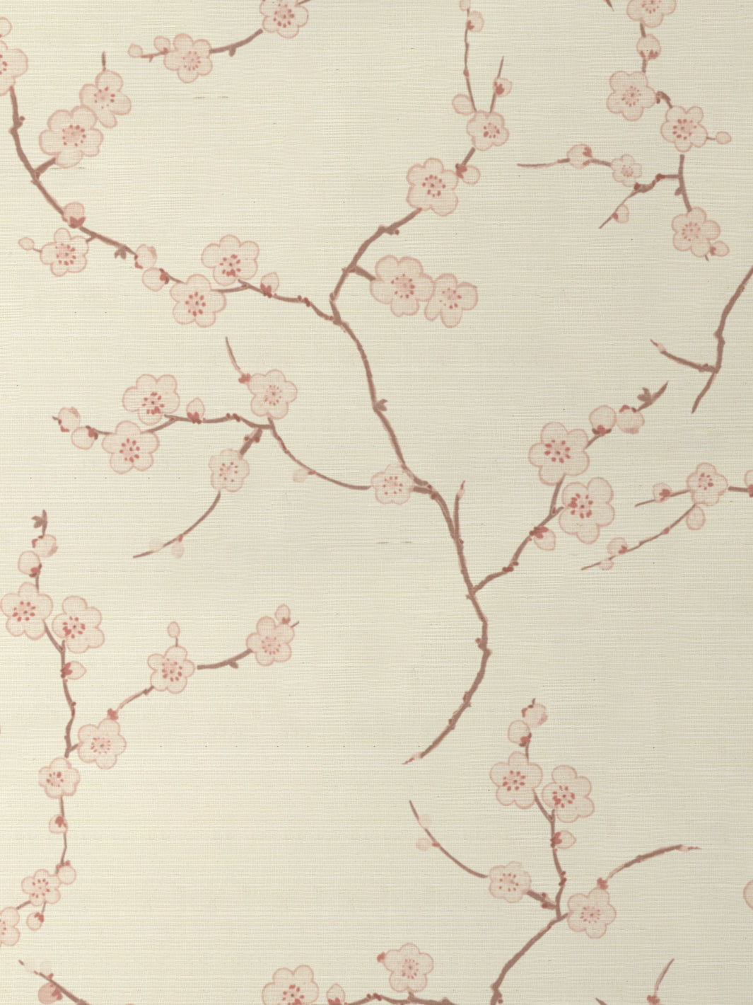 Cherry Blossom GC | NT - Pink