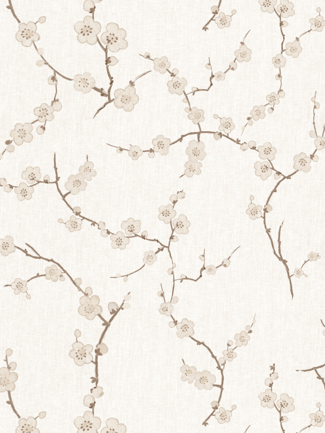 Cherry Blossom WP | NT - Neutral