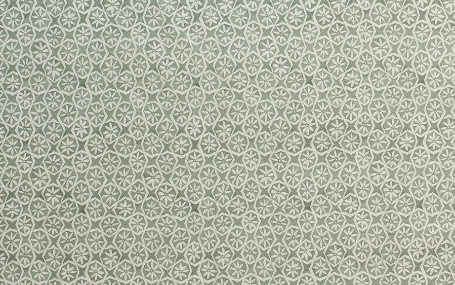 Andaluz | CI - Lichen