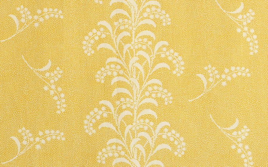 Mimosa Vine | CI - Yellow