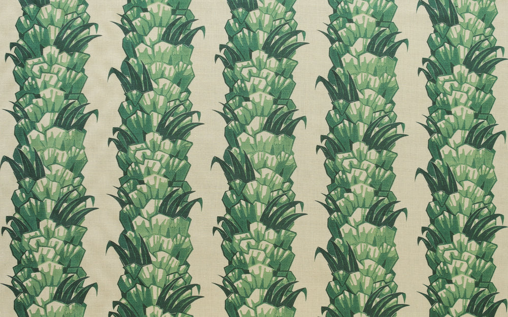 Palmetto | CI - Jungle