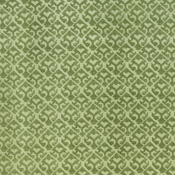 Tamar Tonal | CI - Parsley