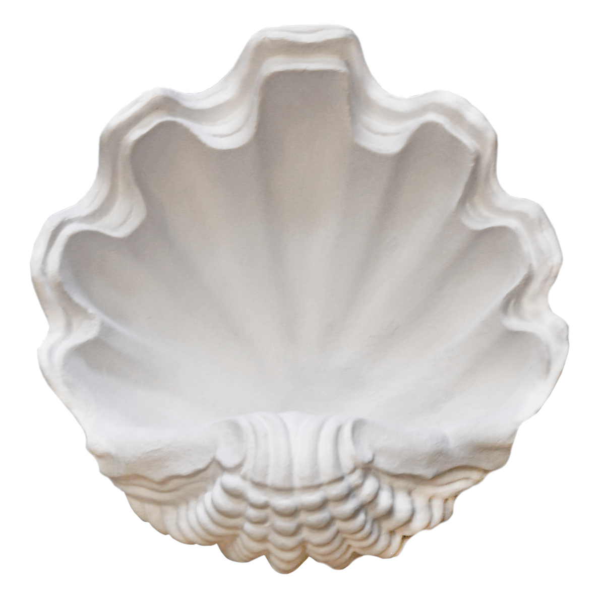 Circle Shell Sconce