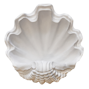 Circle Shell Sconce