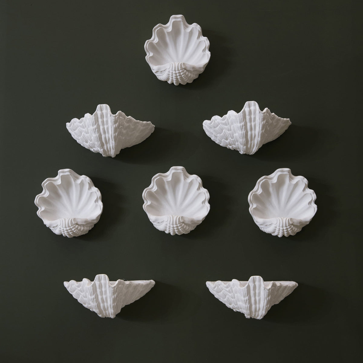 Circle Shell Wall Sconce