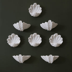 Circle Shell Wall Sconce