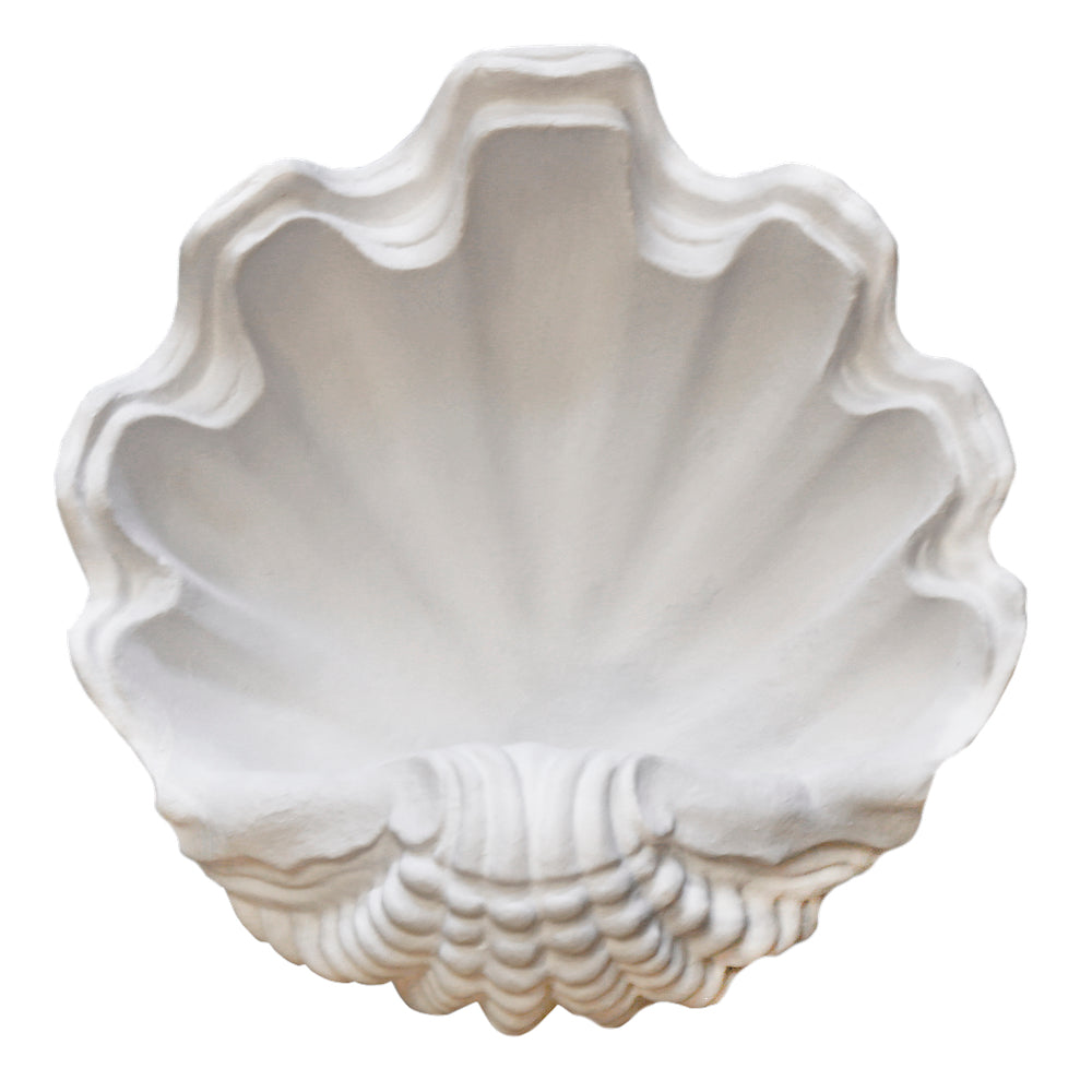 Circle Shell Wall Sconce