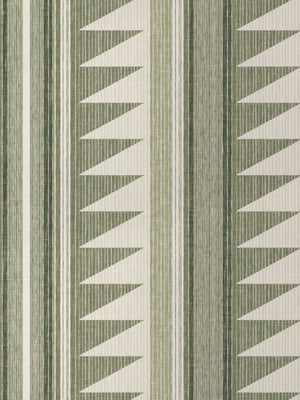 Edwin Stripe GC | NT