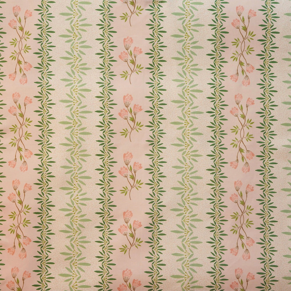 Chandler | FM - Pink Green