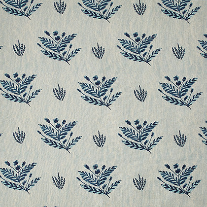 Emily | FM - Blue