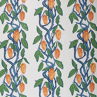 Cacao | FM - Blue Orange