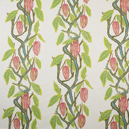 Cacao | FM - Cerulean Blue Pink