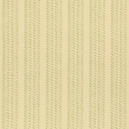 Carneal | FM - Light Green