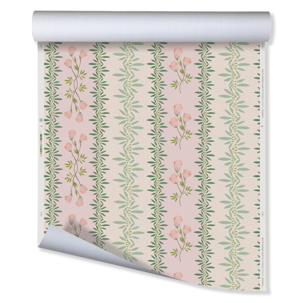 Chandler WP | FM - Pink Green
