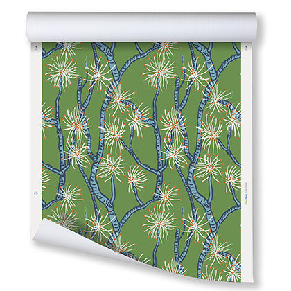 Calliandra WP | FM - Green Blue