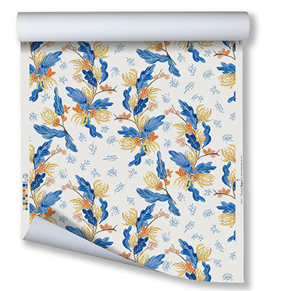 McCall WP | FM - Blue Orange