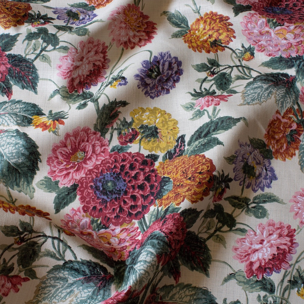 Dahlias | FS - Parchment
