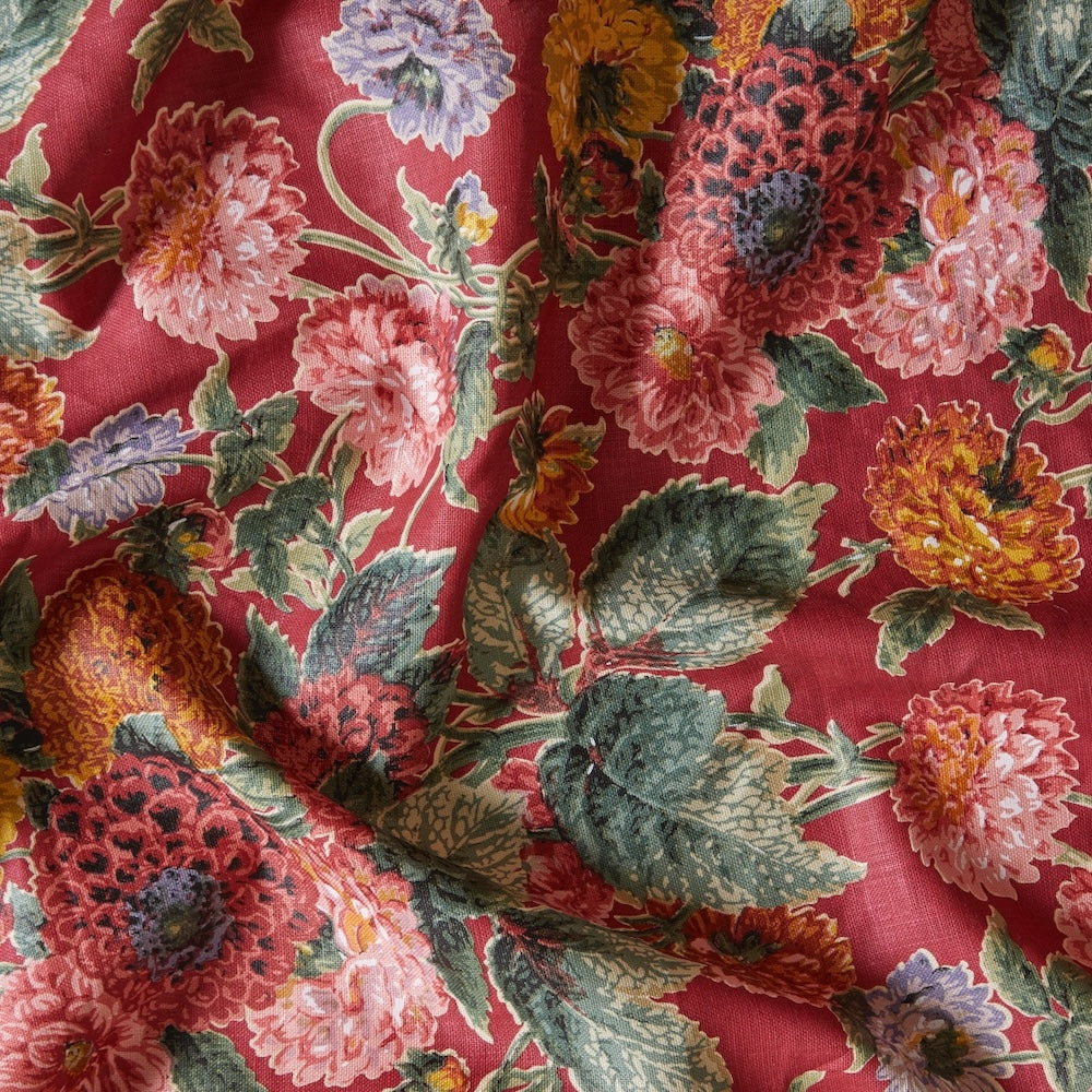 Dahlias | FS - Winter Red