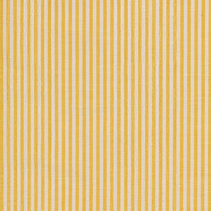 Moire Stripe | HB