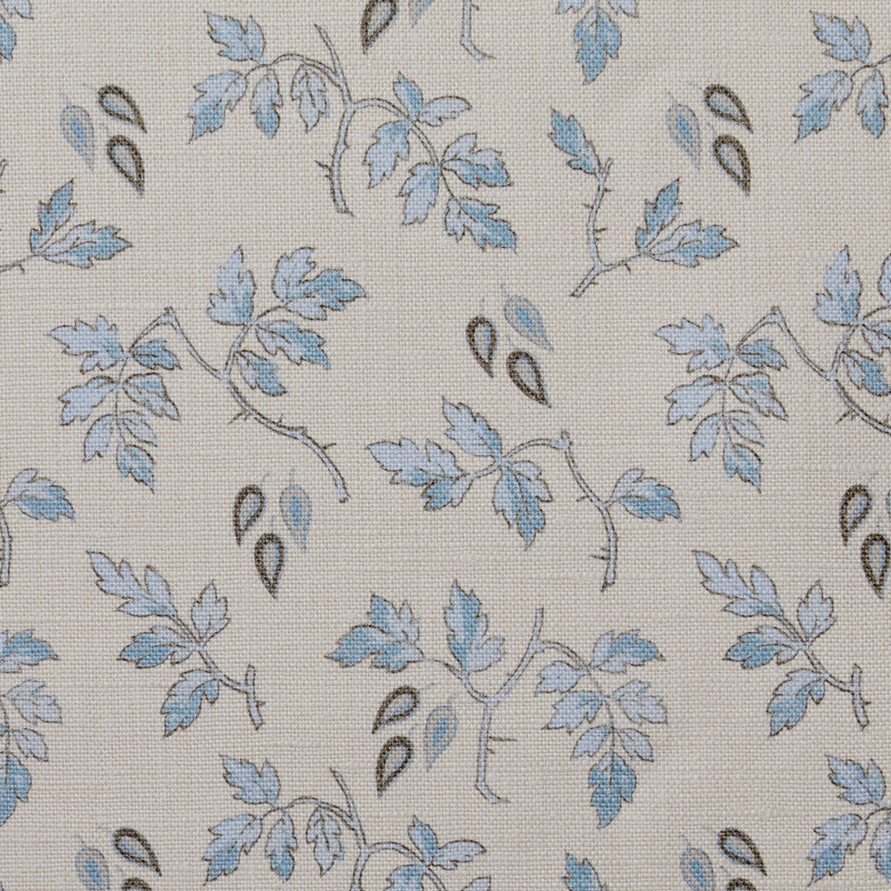 Ginger | HC - Bluebird