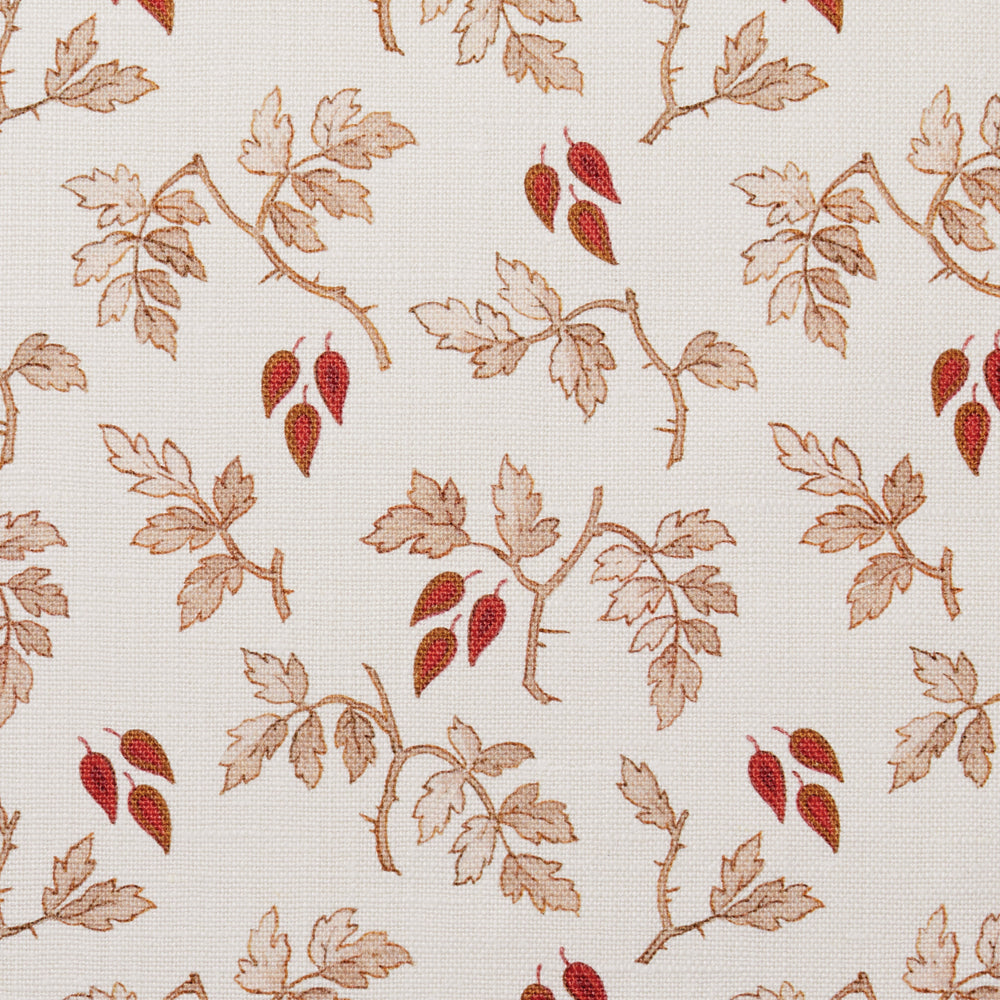 Ginger | HC - Blush
