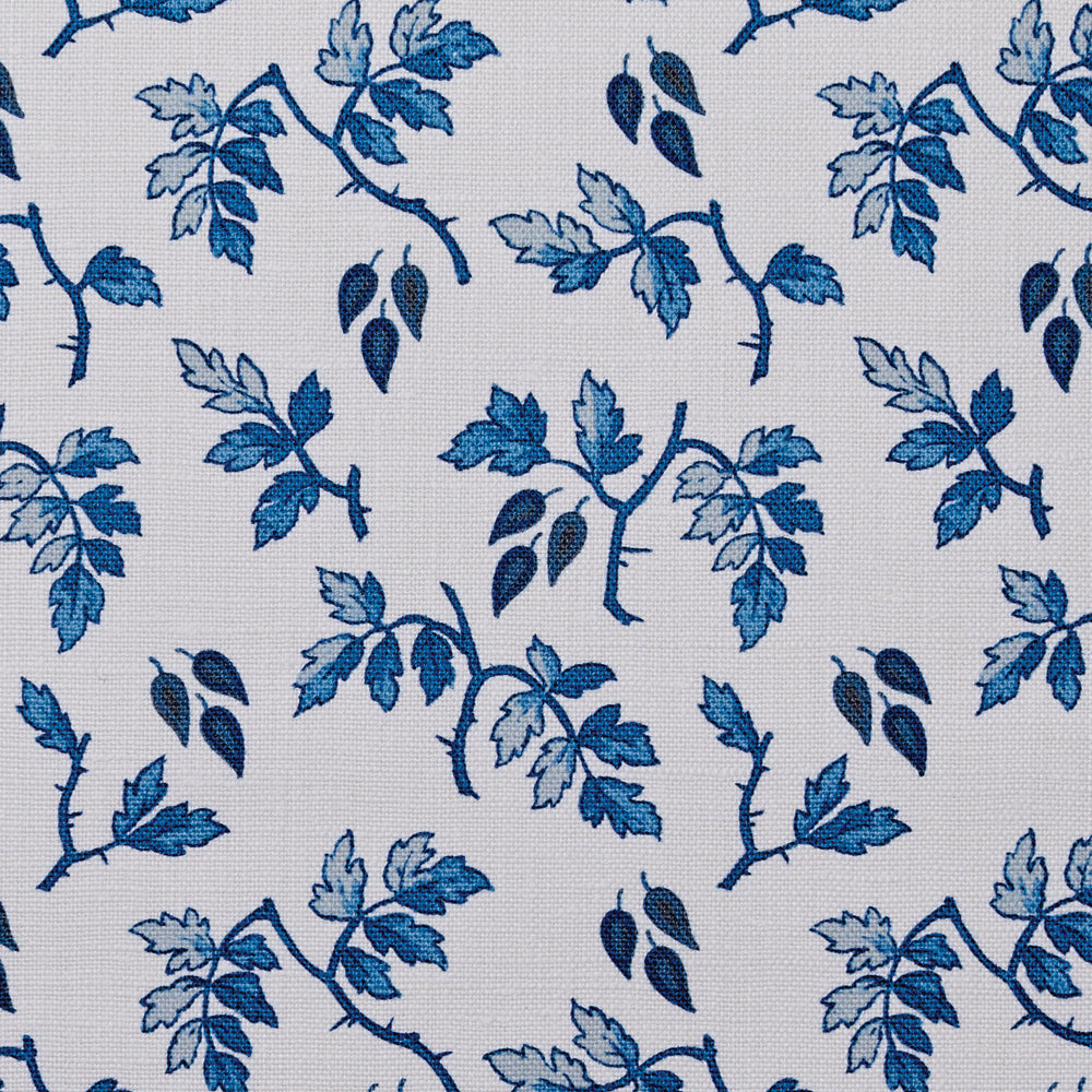 Ginger | HC - Cobalt