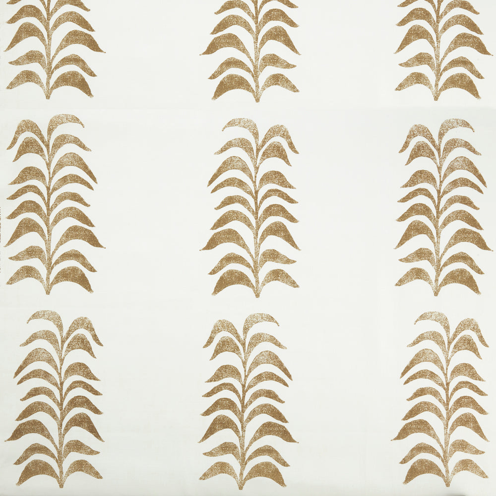 Grande Frond | HC - Caramel
