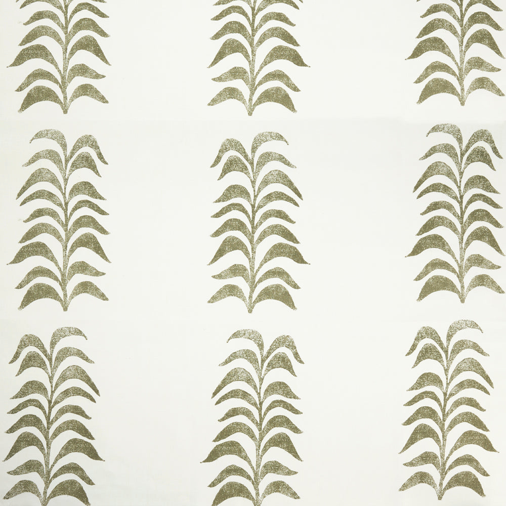 Grande Frond | HC - Olive