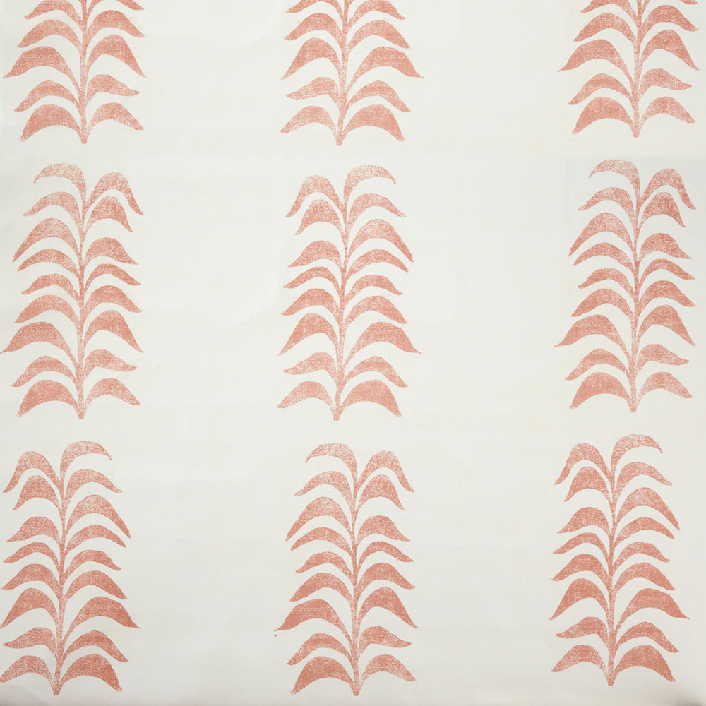 Grande Frond | HC - Rose