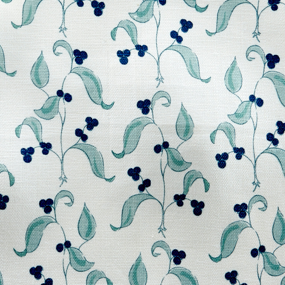 Lillieberrie | HC - Aloe