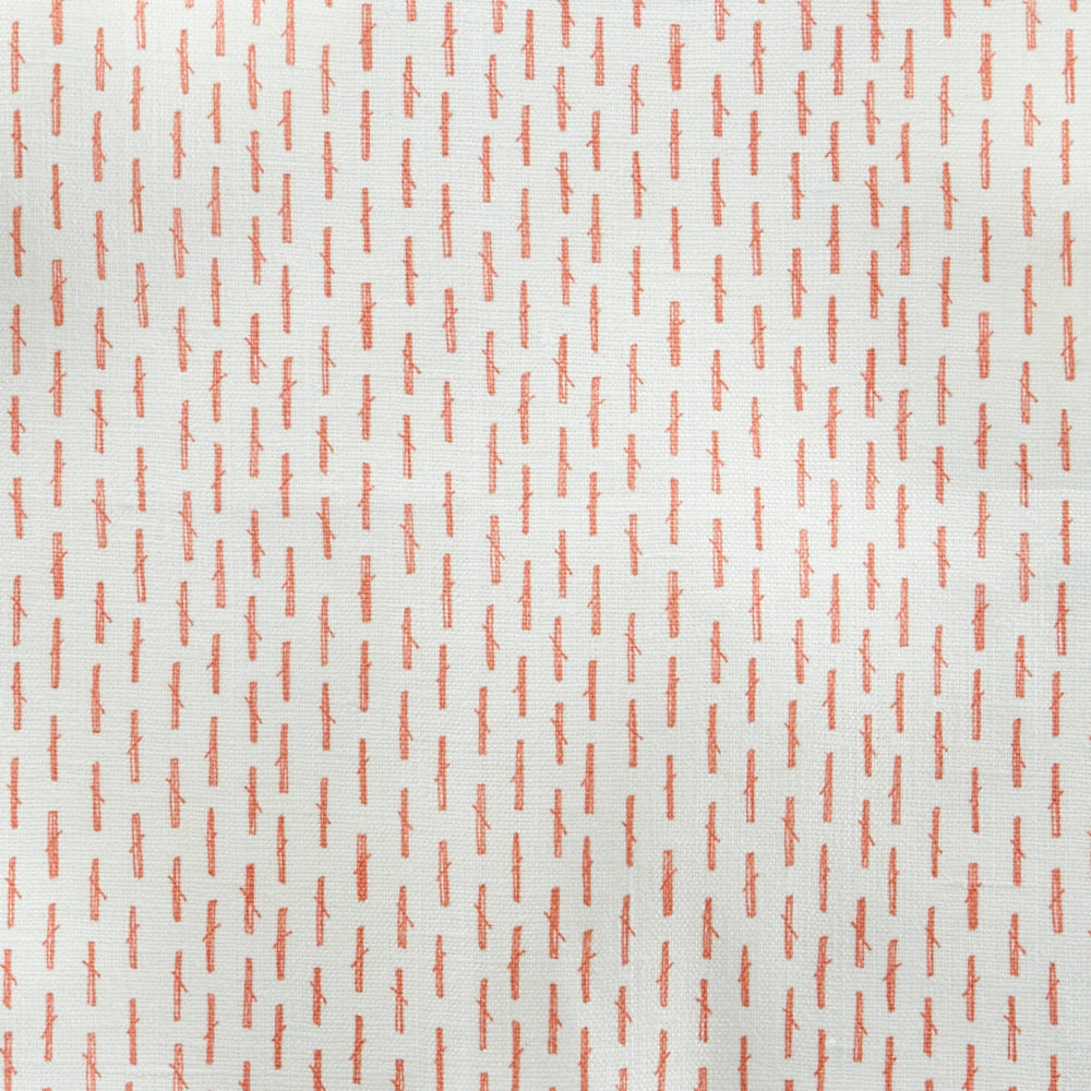 Little Bamboo | HC - Coral