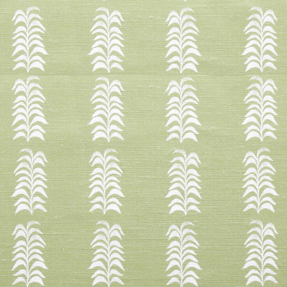 Petite Frond | HC - Melon