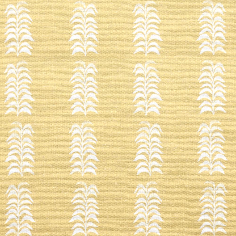 Petite Frond | HC - Pollen