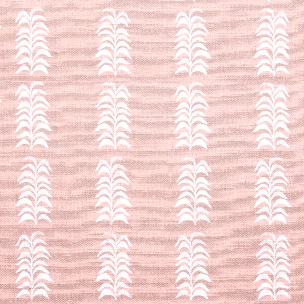 Petite Frond | HC - Shrimp