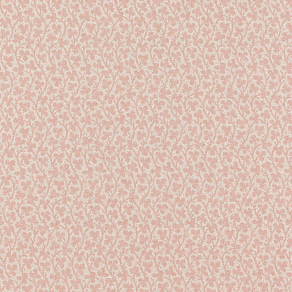 Clover | IN - Blossom