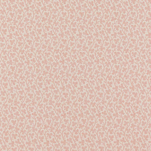 Clover | IN